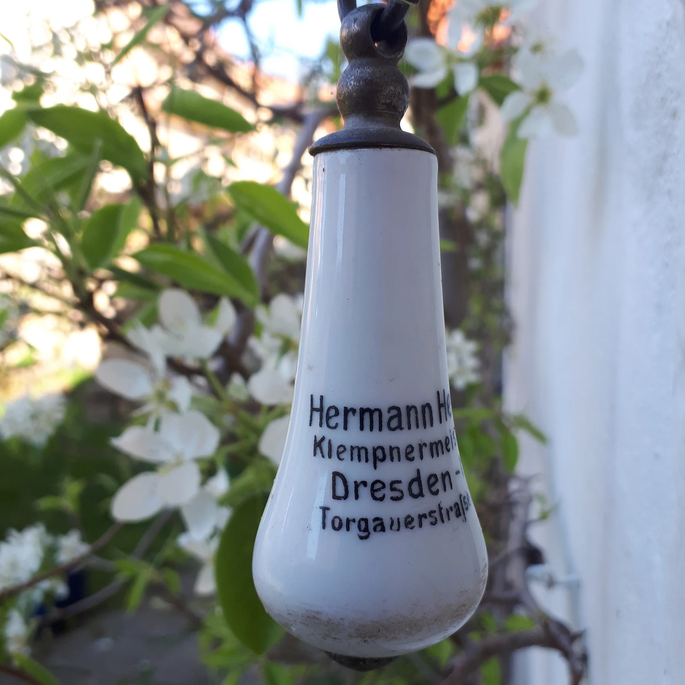 Klingelzug im Garten zwischen Apfelblüten