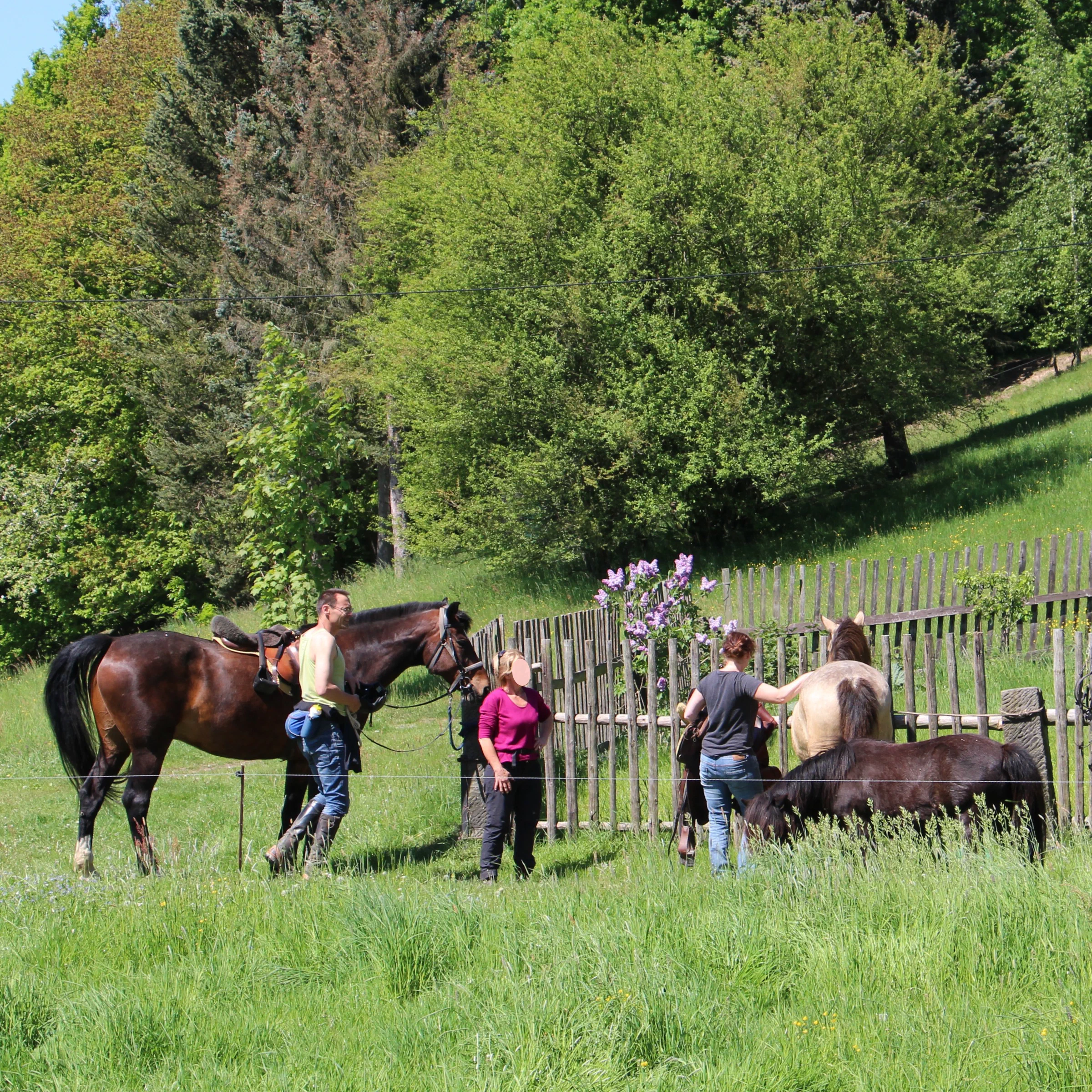 Reiter mit Pferden auf der Weide in der Sächsischen Schweiz